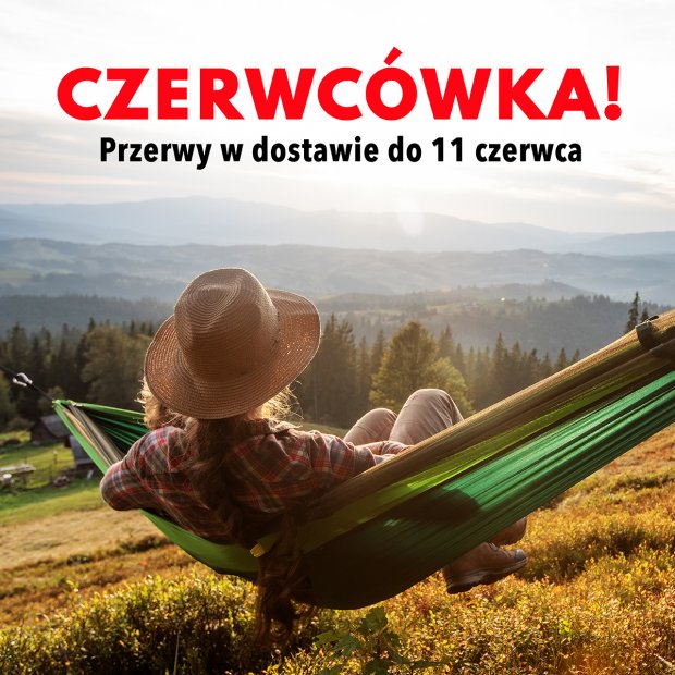 Czerwcowa przerwa - czas start!